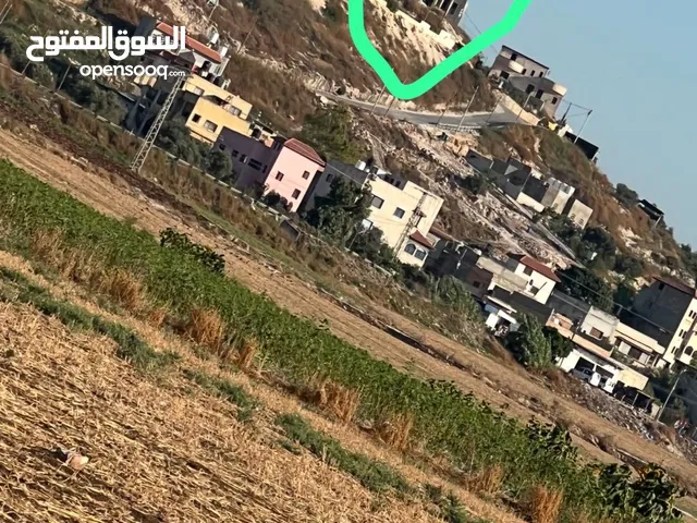 بيت عظم بير الباشا
