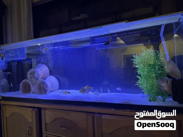 حوض سمك كبير للبيع