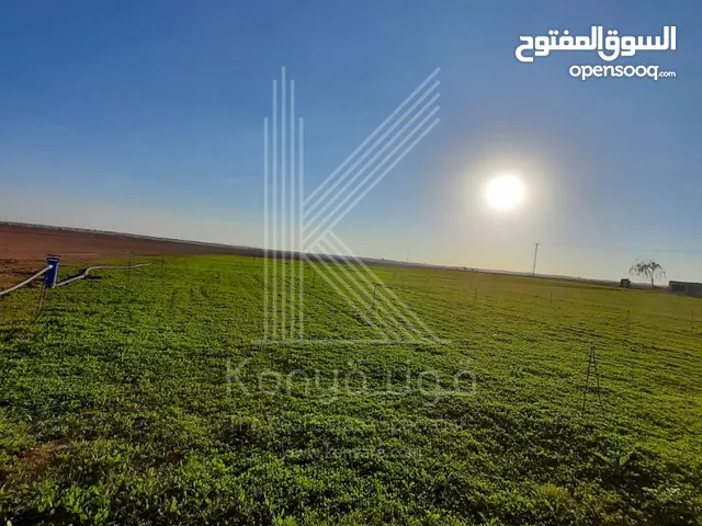 أرض زراعي للبيع في جنوب عمان - ام رمانة