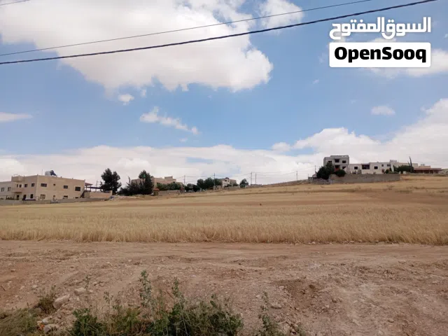 متوفر قطع اراضي للبيع من المالـك مباشـــره البيضاء حوض العبوس سكن ج -جميع القطع مفروزة قوشان مستقل