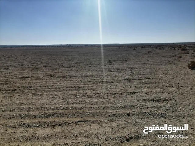 أرض فلاحية بياض