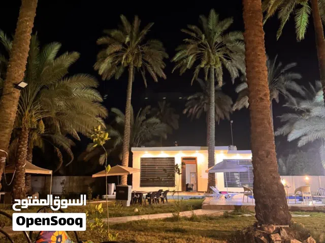 مزرعة للبيع في مناطق سلمان بانك الباوي - فرصة استثمارية