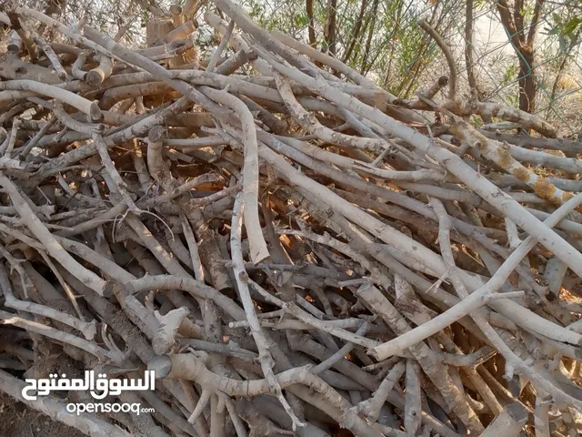 تشكيلة حطب للبيع