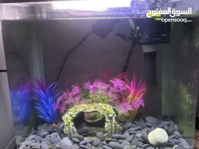 اقرى وصف حوض كامل