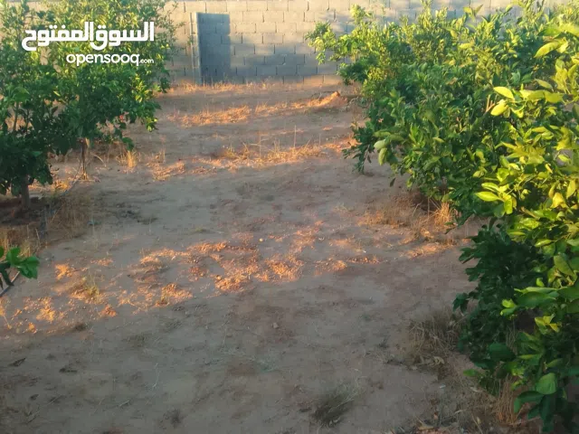 Farm Land for Sale in Zawiya Western Zawiya