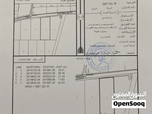 Farm Land for Sale in Al Batinah Barka