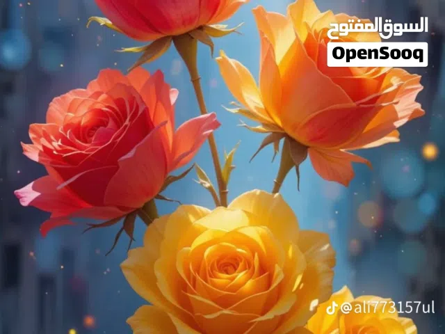 100 m2 3 Bedrooms Apartments for Rent in Tripoli Salah Al-Din