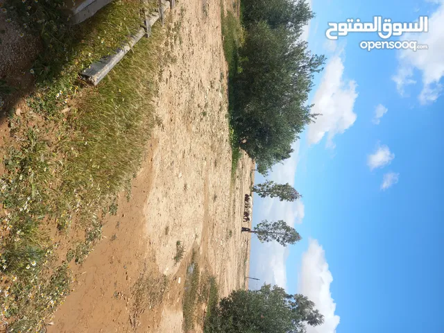 Mixed Use Land for Sale in Amman Other