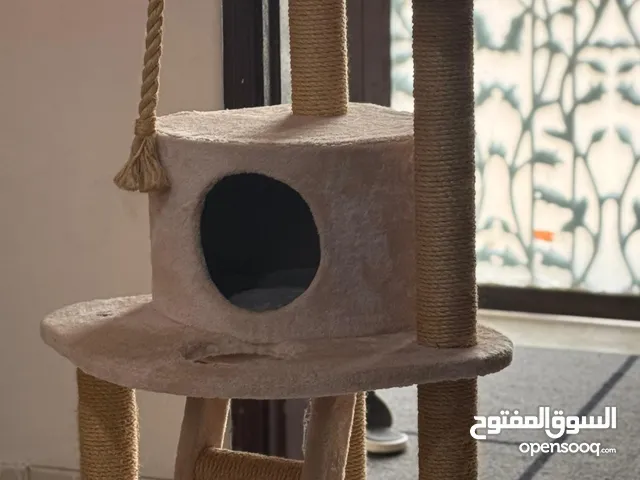 cat tree - برج لعب القطط