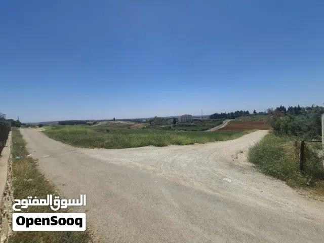 Residential Land for Sale in Amman Naour