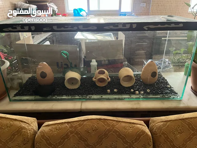 حوض سمك و فلتر كانستر