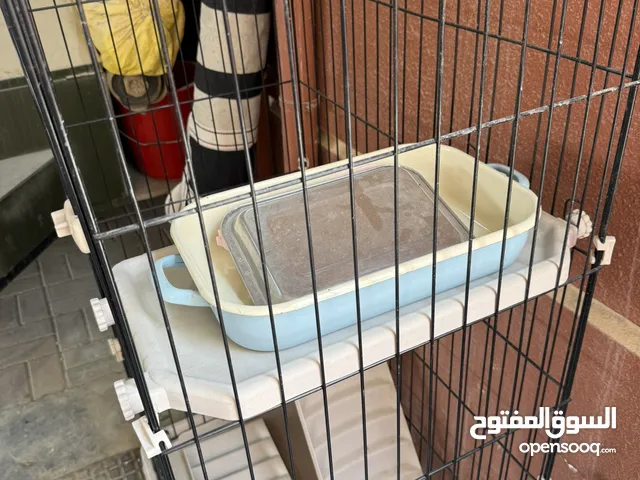 قفص بيت قطط للبيع
