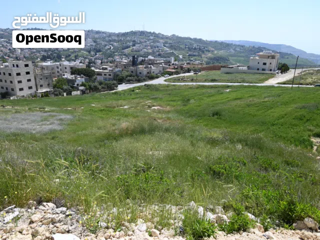 Residential Land for Sale in Amman Naour