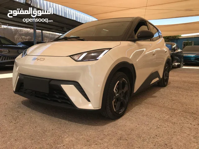 Used BYD Seagull in Zarqa
