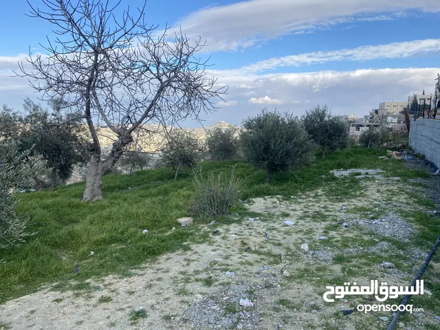Residential Land for Sale in Bethlehem Abu Nujaym
