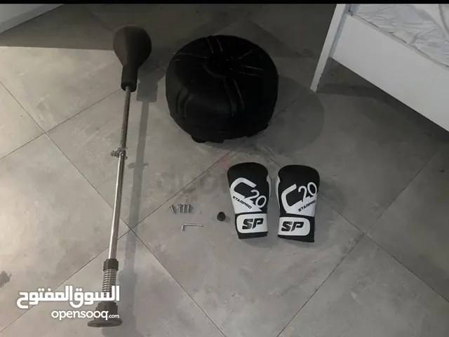 reflex/boxing bag with gloves