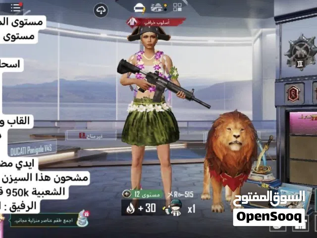 Pubg Accounts and Characters for Sale in Najaf