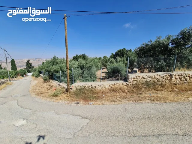 Mixed Use Land for Sale in Amman Mahes