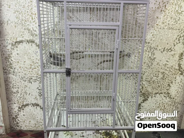 Big bird cage clean