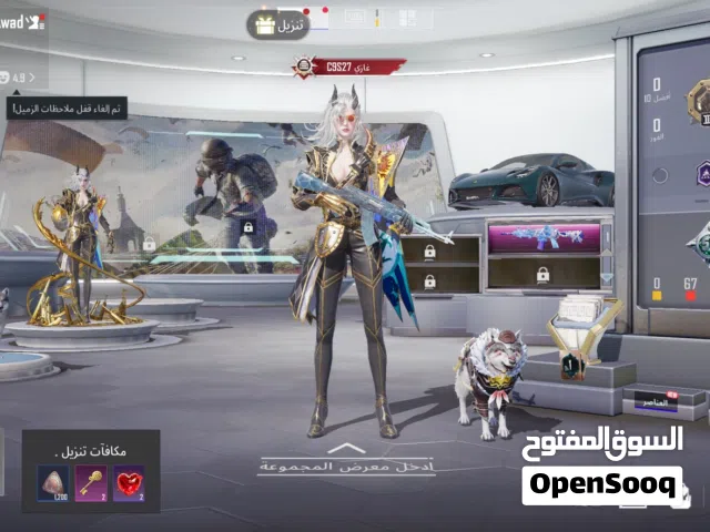 حساب ببجي للبيع