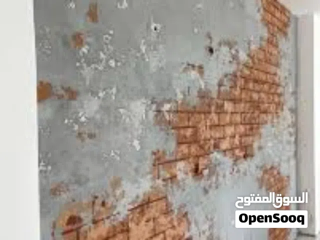 دهانات وديكور