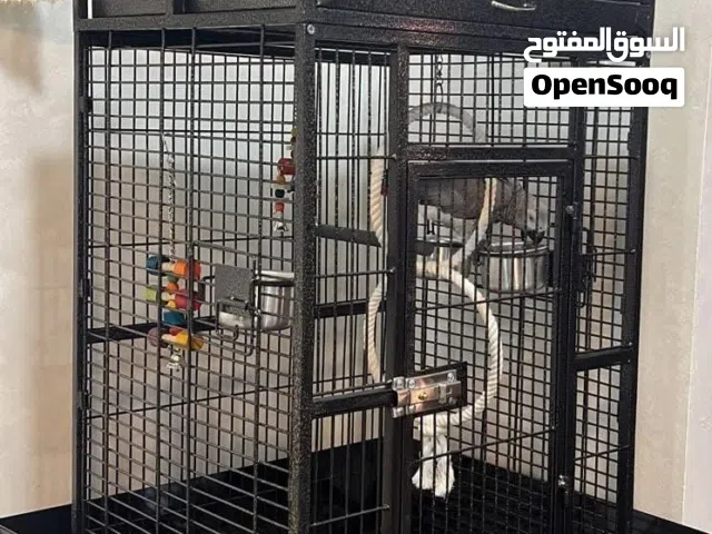 تفصيل اقفاص ببغاء كاسكو و مكاو جميع الأحجام حسب الطلب والمقاس واللون المطلوب