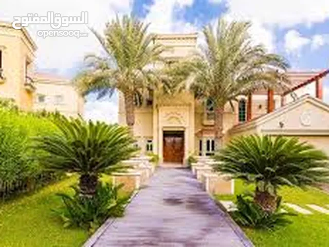 Outdoor renovation & landscaping