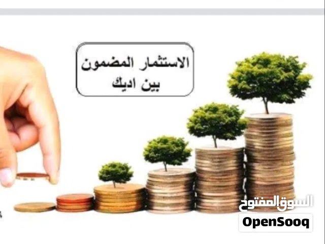 مكتب إداري يصلح لأي نشاط شركة مقاولات أو شركة تجارية او شركة سياحة وسفر أومكتب استشاري هندسي ...ألخ
