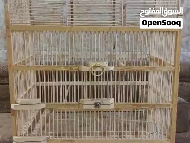 متاح محميه بلابل بكاني بصره حيانيه