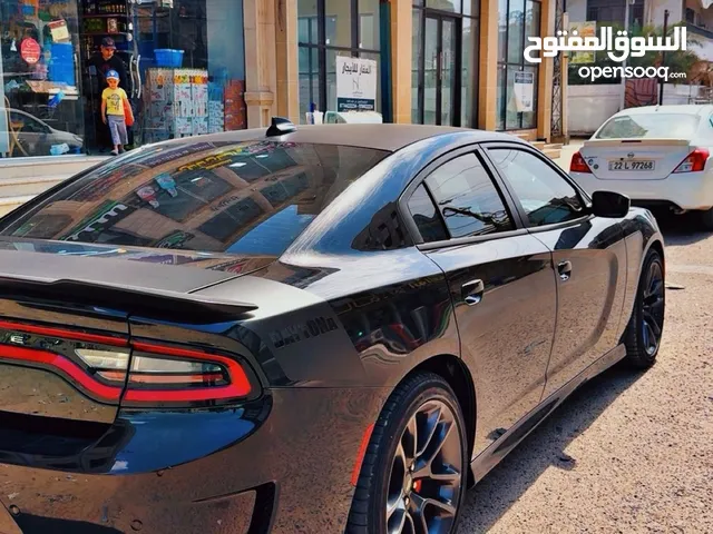 دايتونا 2022 فووول لخير ماعده فتحه