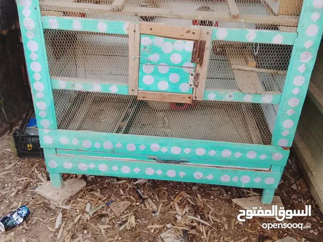 مطير لطيور للبيع