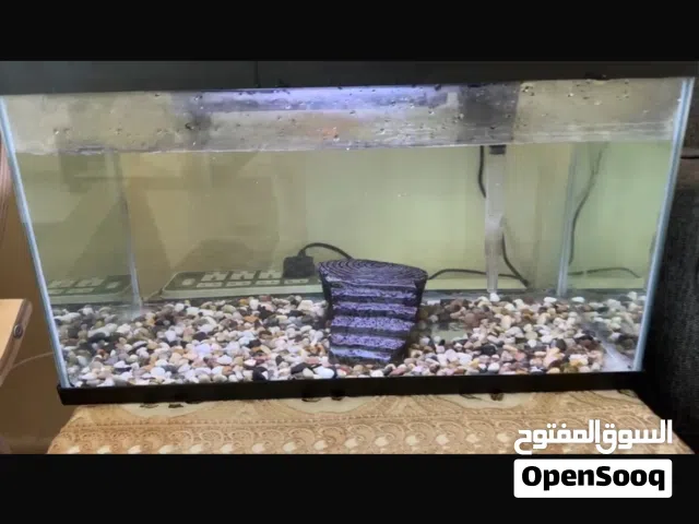 aquarium tank