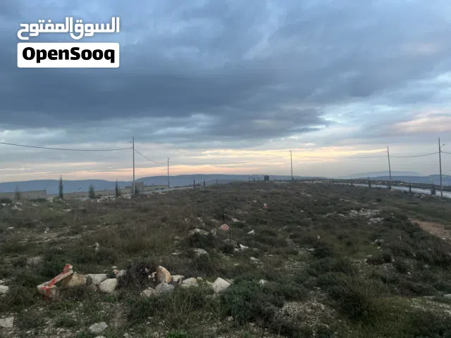 Residential Land for Sale in Nablus Asira Ash-Shamaliya