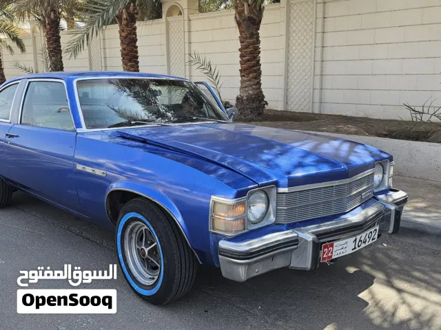 1976 Buick Other