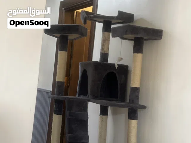 بيت قطط للبيع