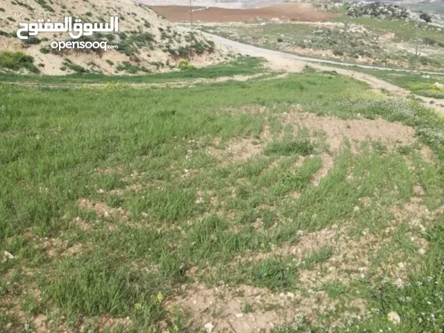 ارض على واجهتين لا يوجد فيها منسوب