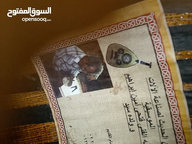 عود فتحي امين