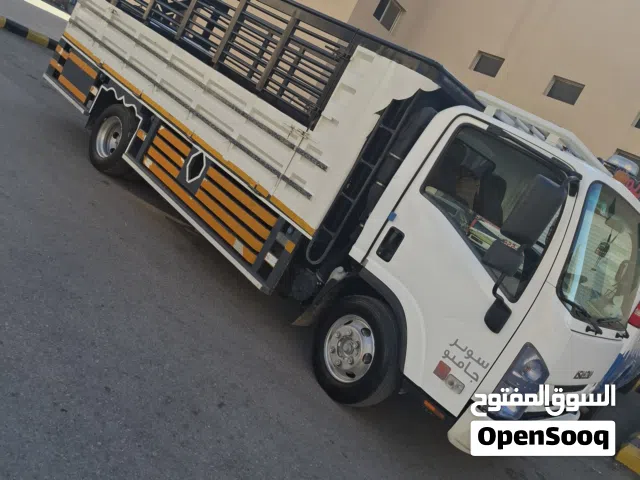 دينا مشوير  دخل وخارج الرياض  طوال 5 متر  كل الاورق سليمه