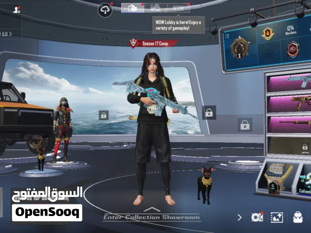 Pubg Accounts and Characters for Sale in Hebron