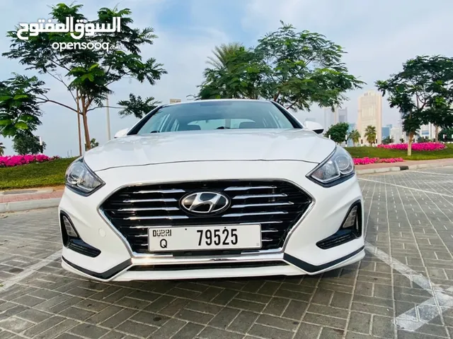 Hyundai sonata model 2019 white  economy car هيونداي سوناتا ابيض سيارة اقتصادية