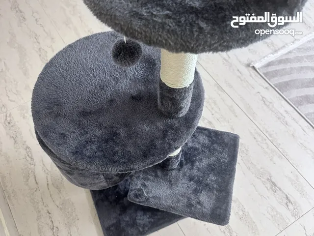 بيت للقطط 'ًًًًًًًً