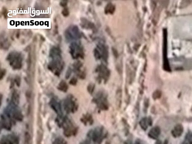 Mixed Use Land for Sale in Salt Ein Al-Basha