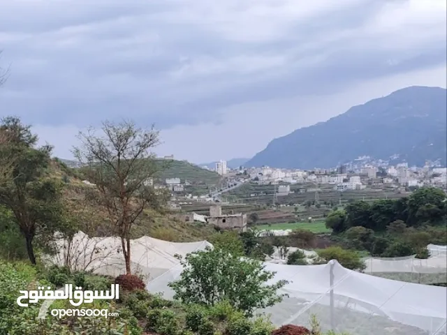 أرض عرطه 5قصب حر فوق الثلاثين في الخرف مزروعه اثنين مليون وخمس لقصبه البيع لغرض السفر