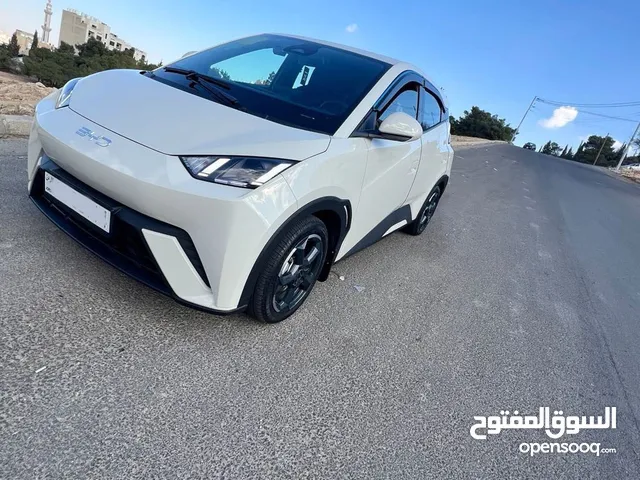 Byd seagull 2024- فئة الرادار