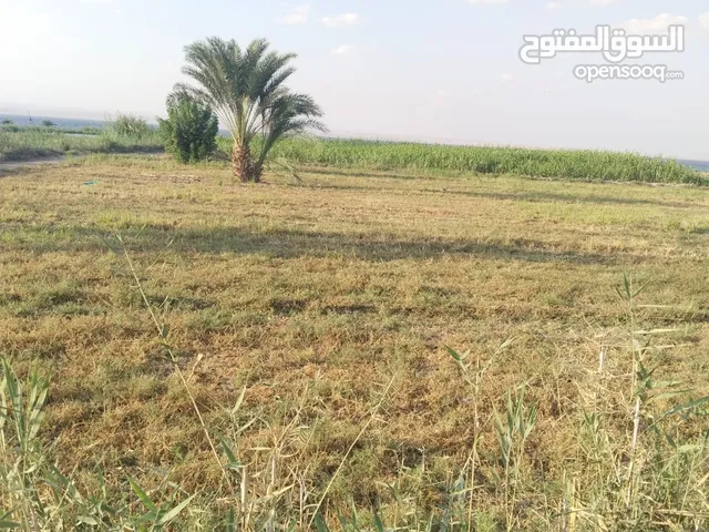 مزرعة عشرين فدان بموقع استراتيجي بالفيوم