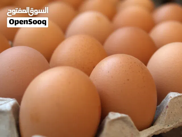 بيض عمان طازج – 30 حبة
