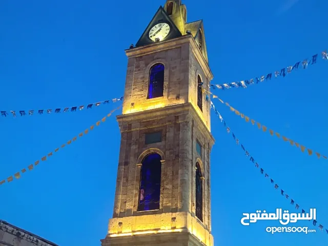يوسف النتشه