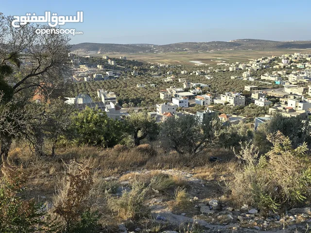 ارض اطلالة رائعة