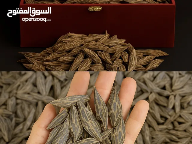 عود تايجر فيتنامي الاصلي