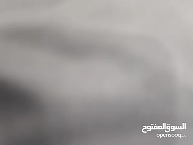 اشتراك بودي ماسترز جميع الفروع للتنازل